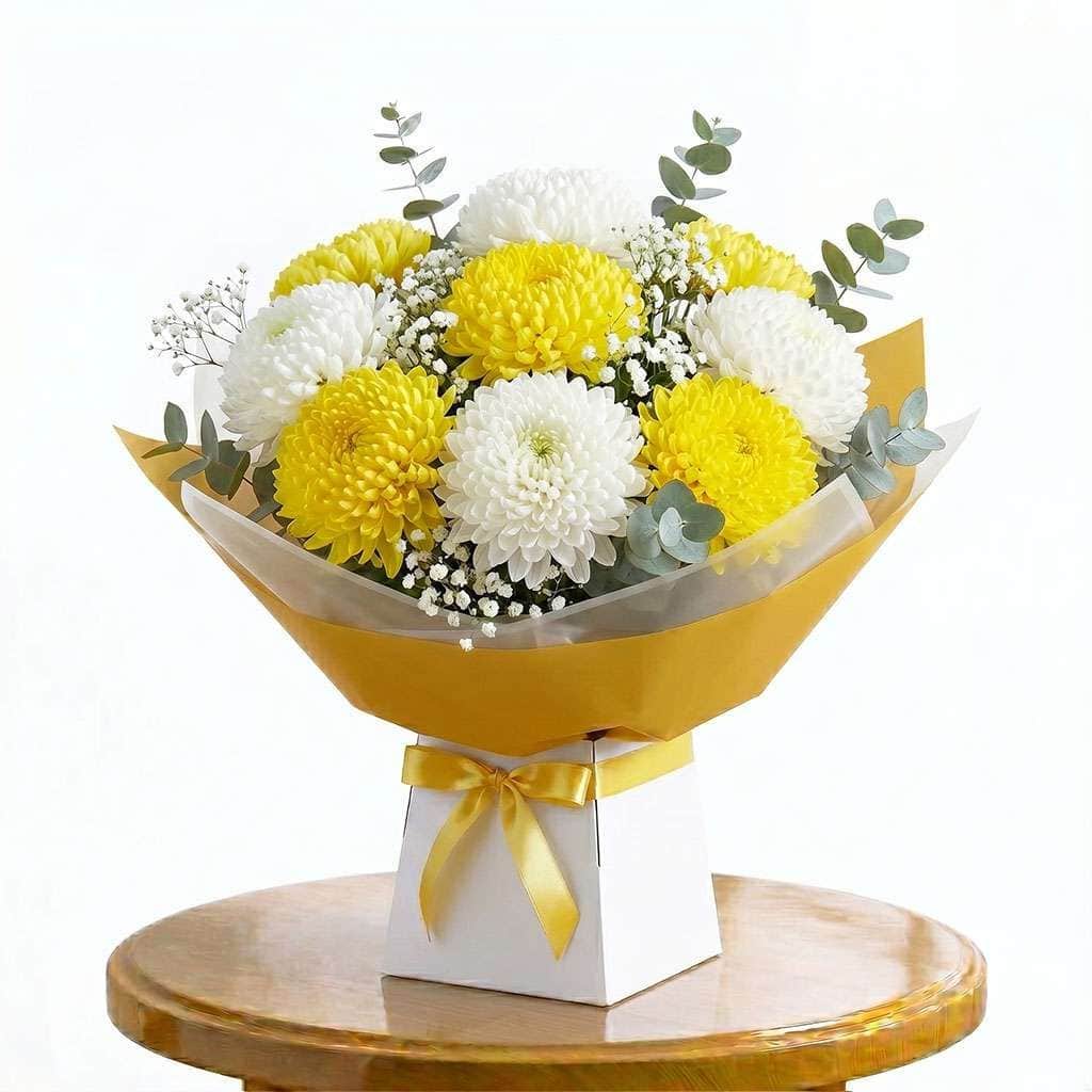 Chrysanthemum Breeze