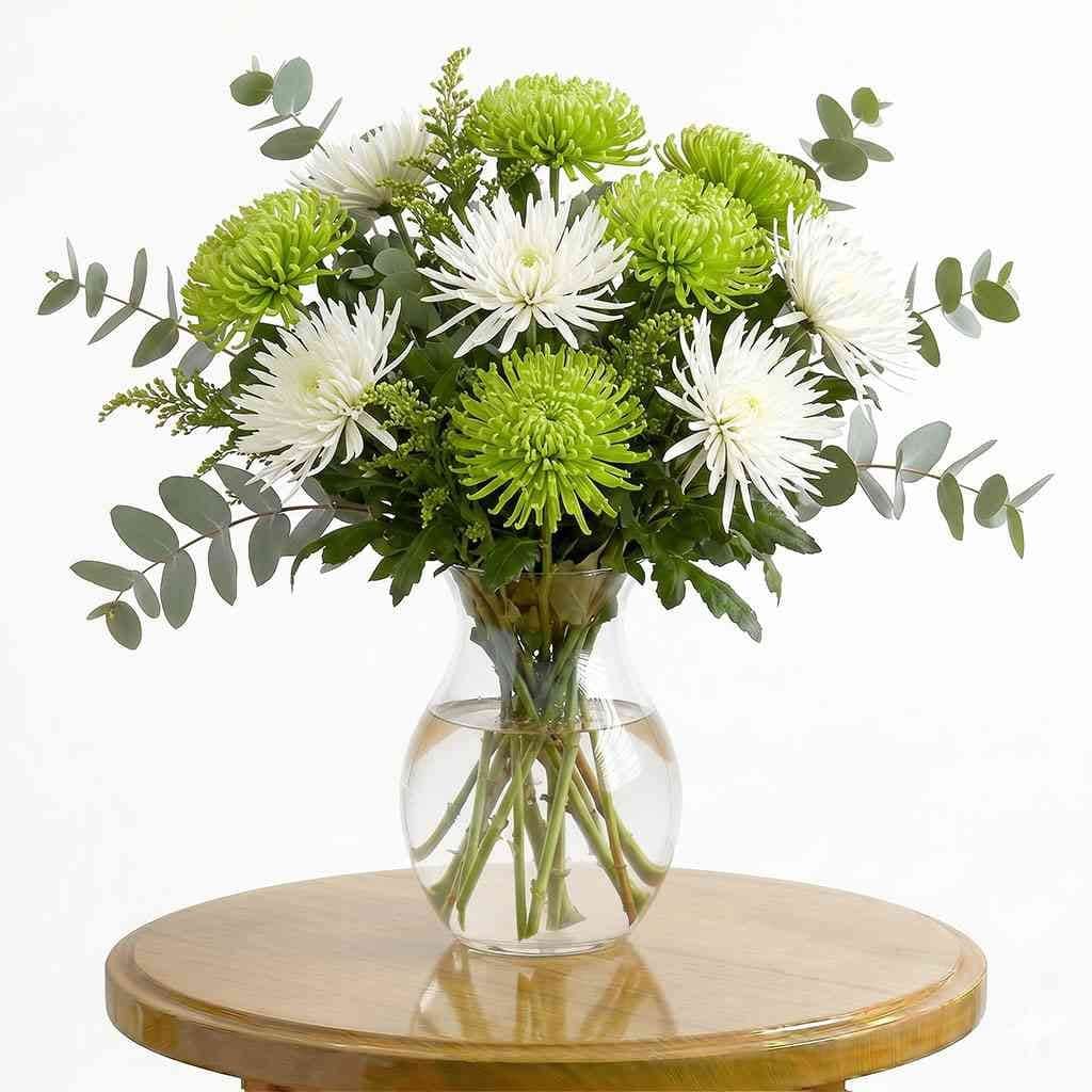 Chrysanthemums Jade