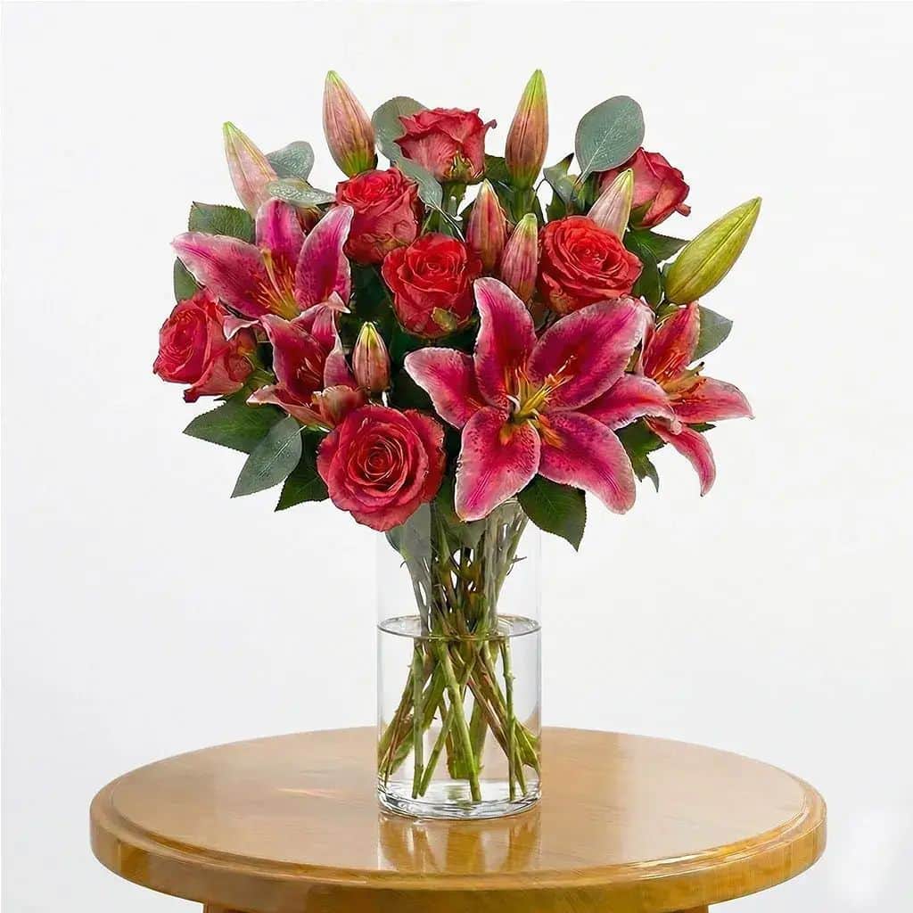 Pink Stargazer