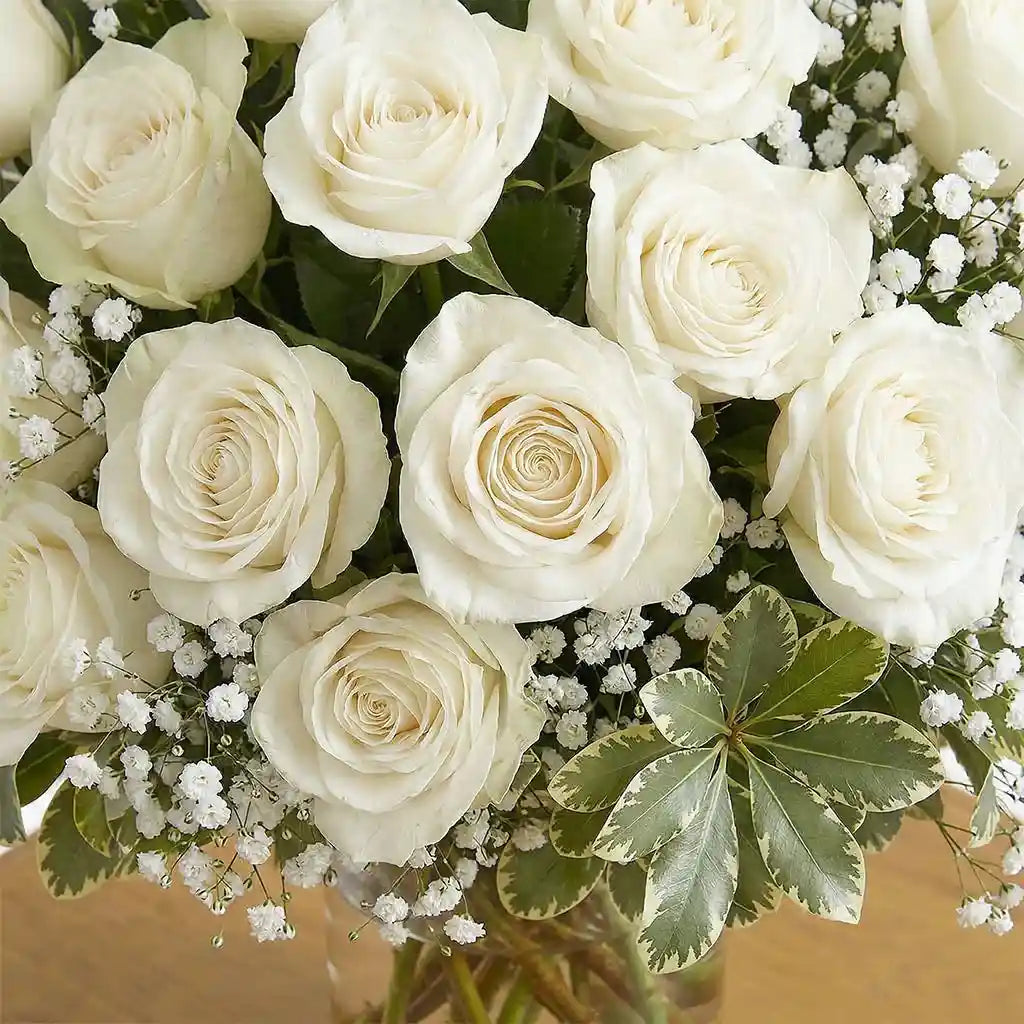 24 White Roses