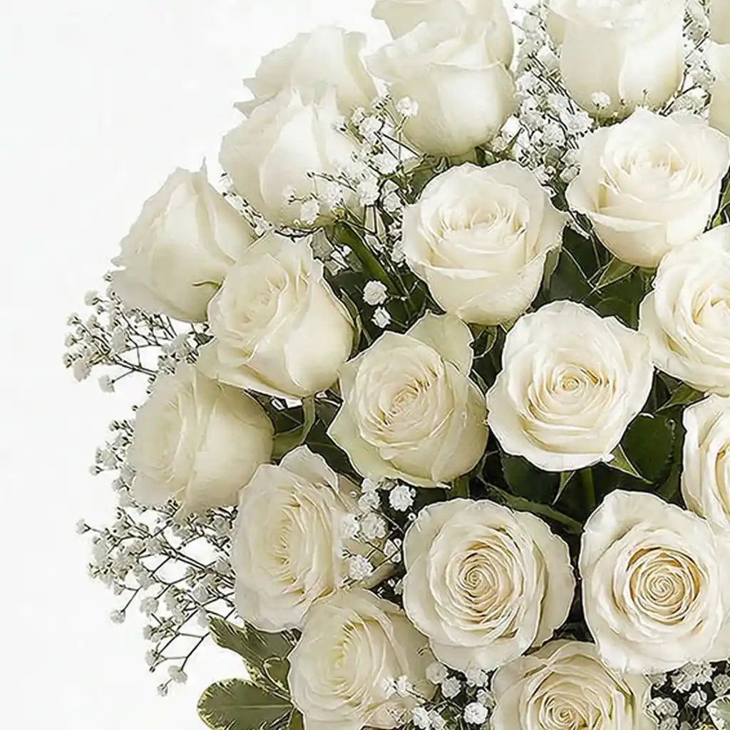24 White Roses